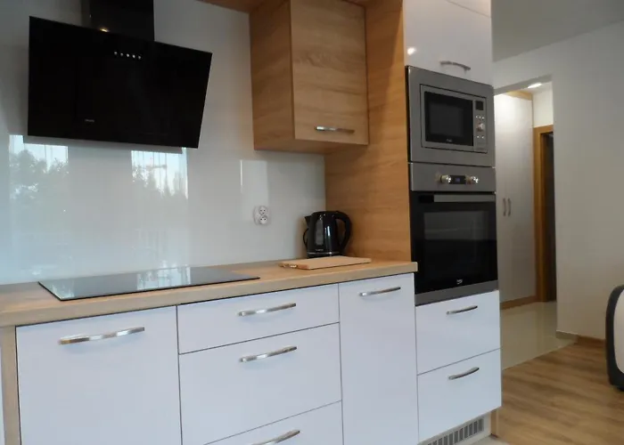 Apartament Dmowskiego - Kepa Mieszczanska